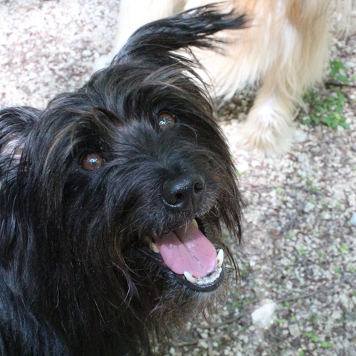 Ausflug im Juli 2016 (17)